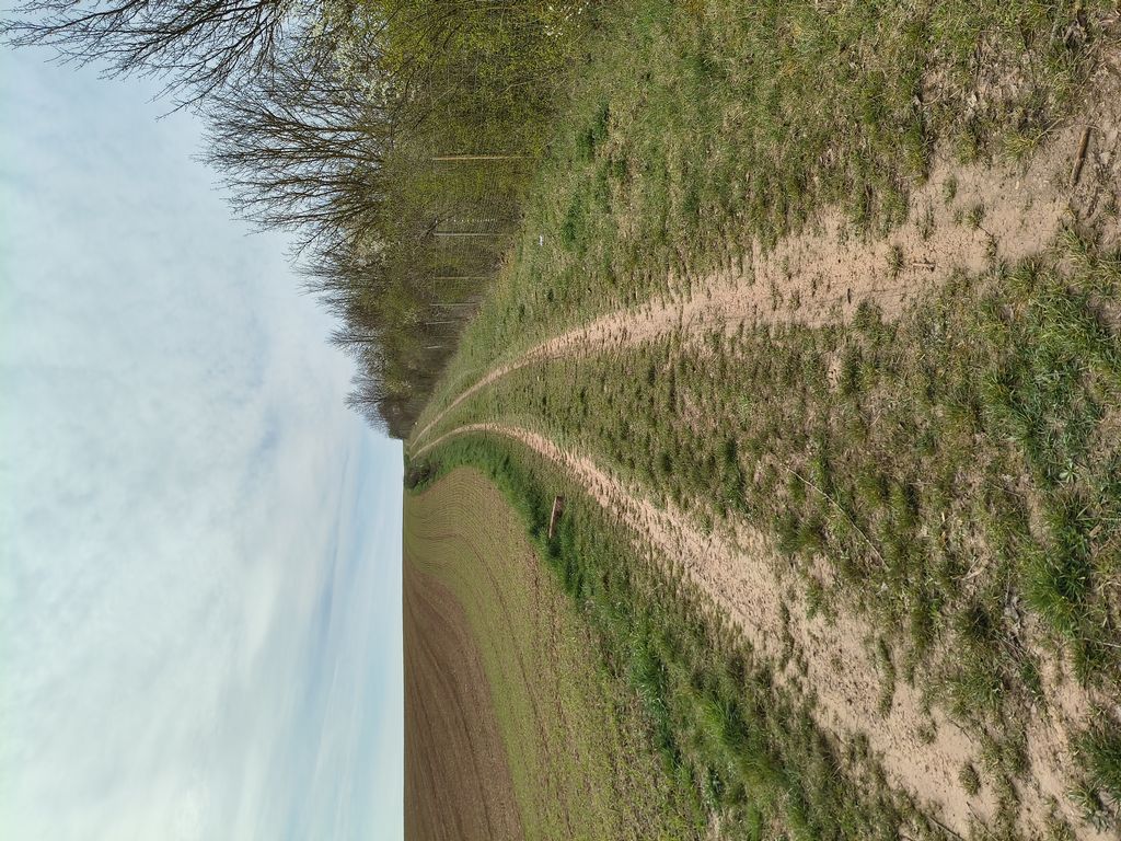 Foto 1 – 24.03.2026 – 298 km – Brensbach - Liverdun