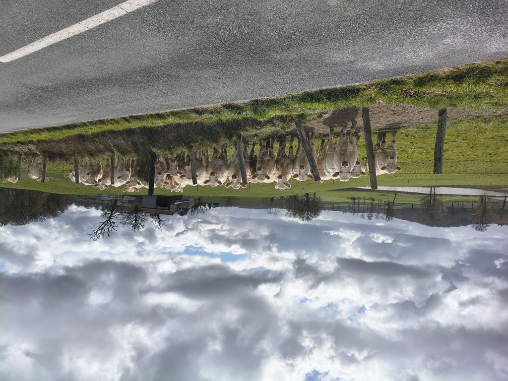 Foto 1 – 26.03.2026 – 343 km – Saint-Pourcain-sur-Sioule - Eyraud-Crempse-Maurens
