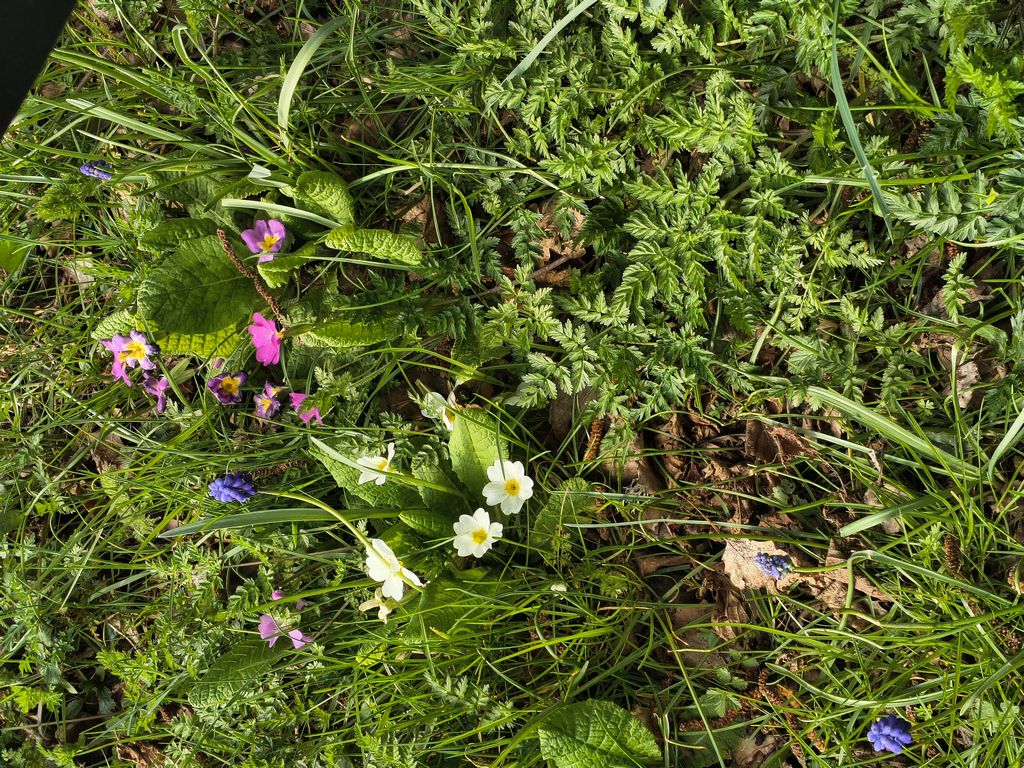 Foto 2 – 26.03.2026 – 343 km – Saint-Pourcain-sur-Sioule - Eyraud-Crempse-Maurens