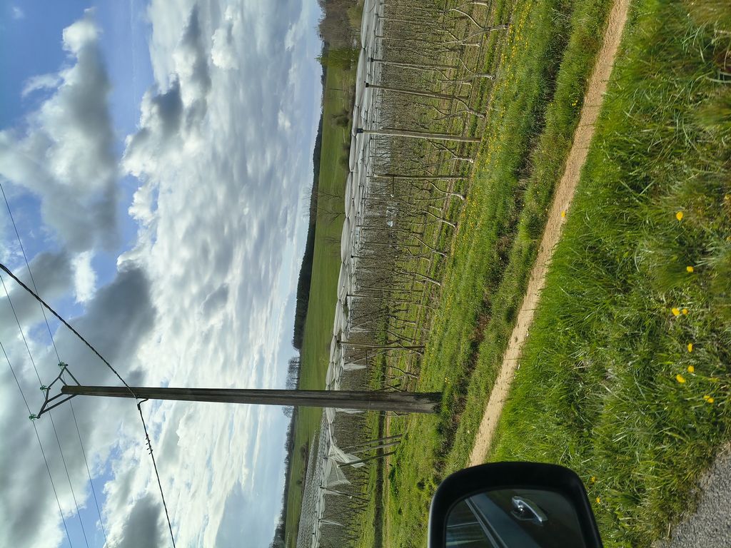 Foto 10 – 26.03.2026 – 343 km – Saint-Pourcain-sur-Sioule - Eyraud-Crempse-Maurens