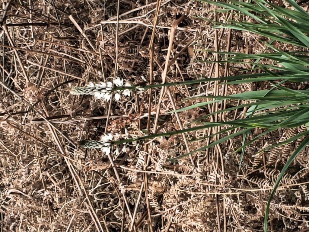 Foto 12 – 26.03.2026 – 343 km – Saint-Pourcain-sur-Sioule - Eyraud-Crempse-Maurens
