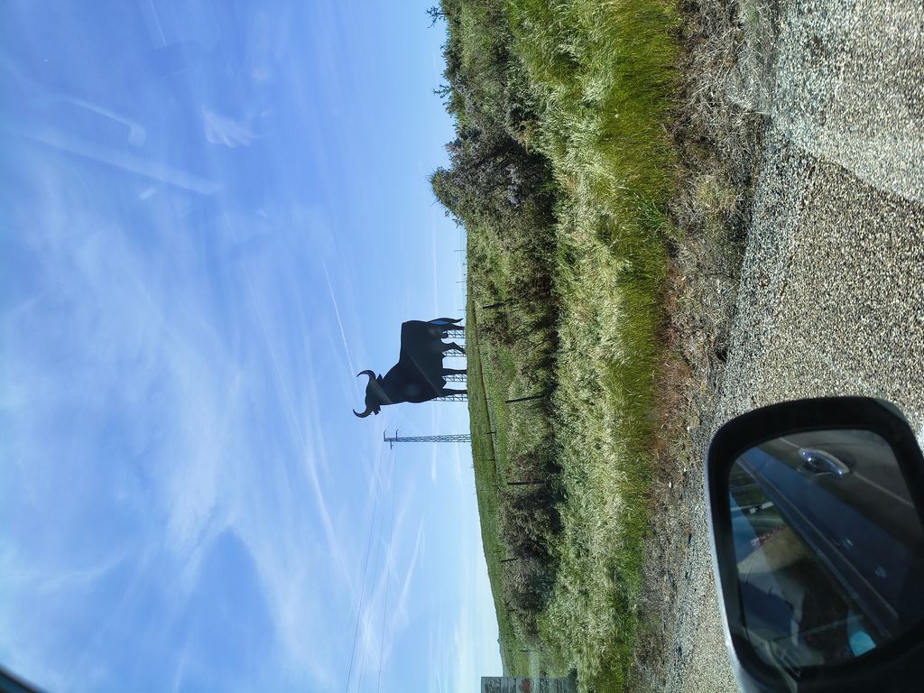 Foto 7 – 03.04.2026 – 293 km – Santo Antonio do Baldio - Sevillia - La Campana