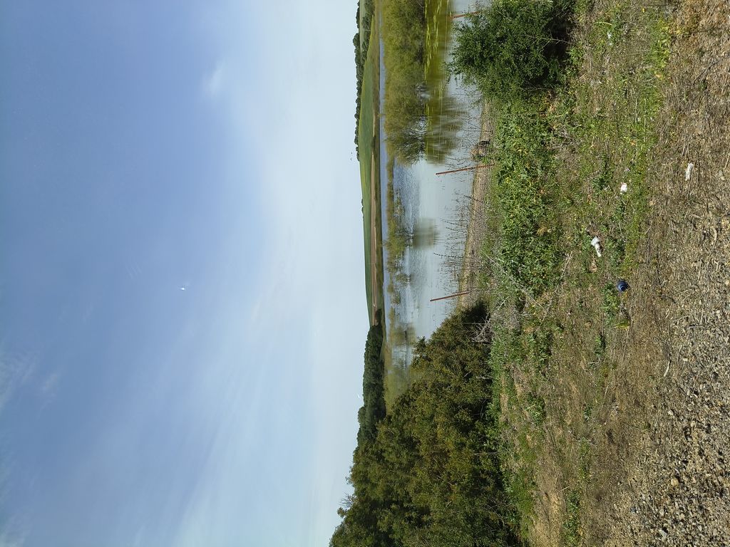 Foto 12 – 06.04.2026 – 307 km – La Campana - Sevilla - Tarifa