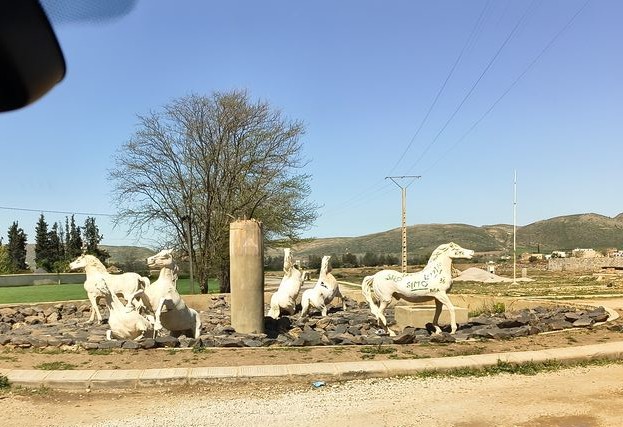 Foto 5 – 10.04.2026 – 238 km – Fes - Azrou – Lake Aguelmame Sidi Ali (See) - Midelt