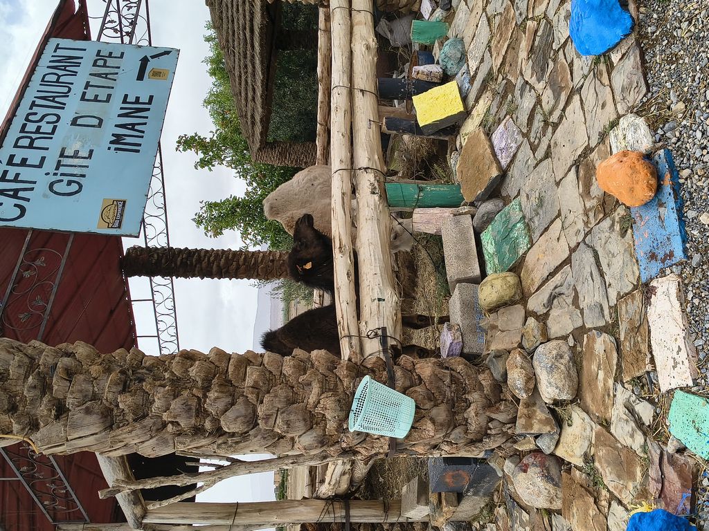 Foto 7 – 11.04.2026 – 203 km – Midelt - Tinghir - Boumalme Dades