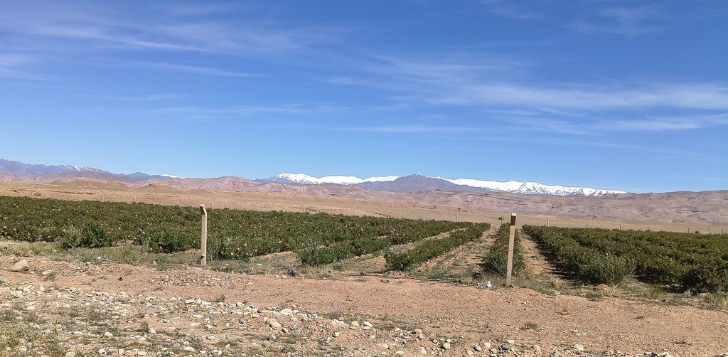 Foto 23 – 13.04.2026 – 125 km – Boumalme Dades - Skoura - Wander Oasis - Kasbah Amridil - Ouarzazate