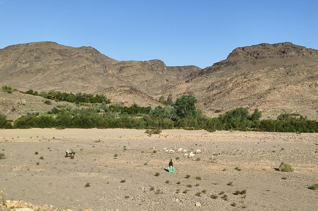 Foto 8 – 14.04.2026 – 277 km – Ouarzazate - Taliouine - Taroudannt