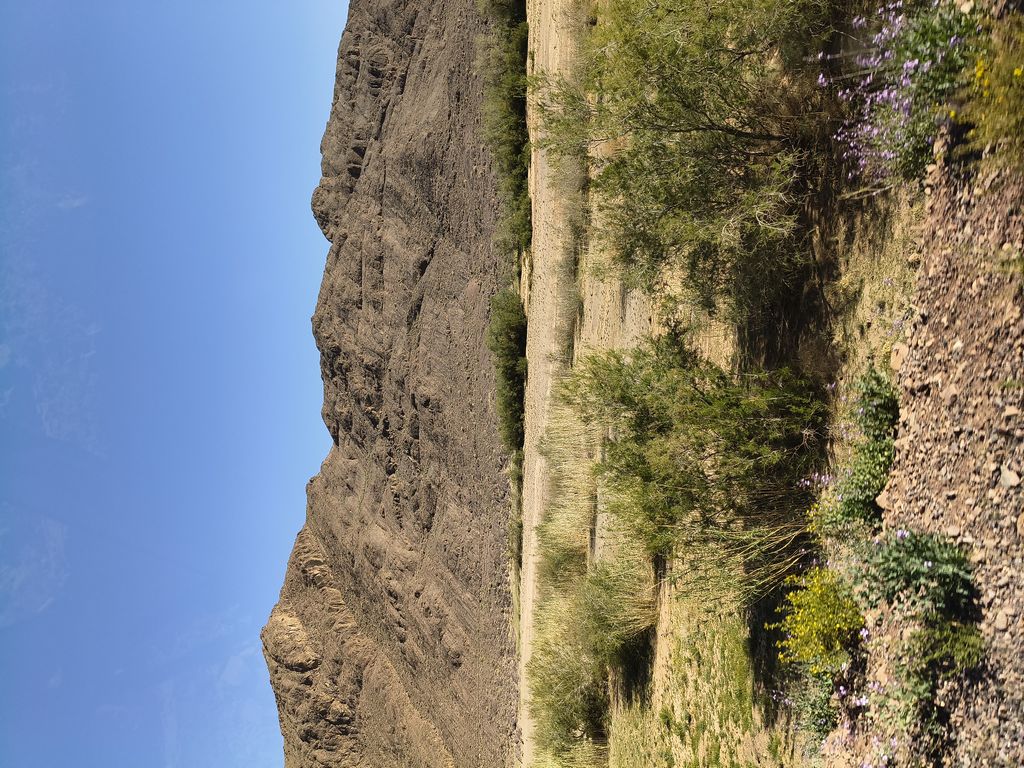 Foto 9 – 14.04.2026 – 277 km – Ouarzazate - Taliouine - Taroudannt