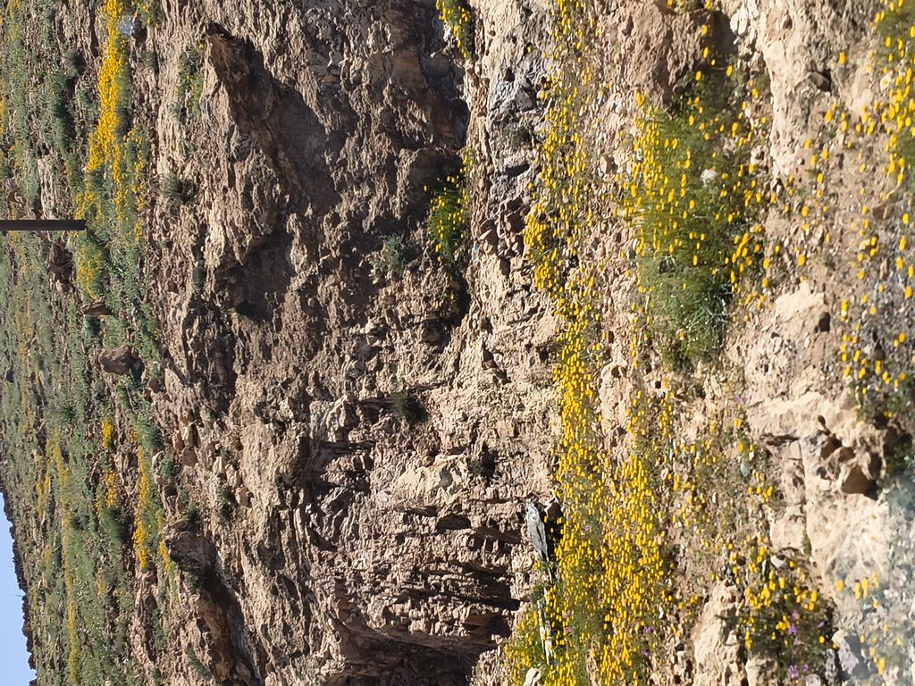Foto 28 – 14.04.2026 – 277 km – Ouarzazate - Taliouine - Taroudannt