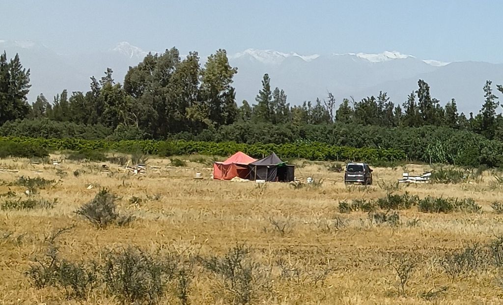 Foto 37 – 14.04.2026 – 277 km – Ouarzazate - Taliouine - Taroudannt