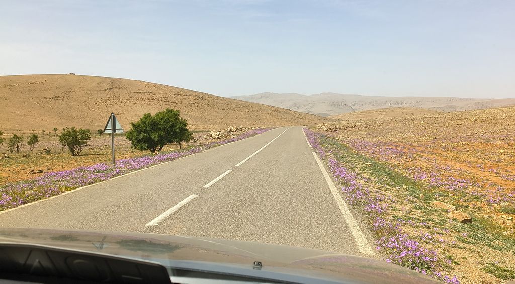 Foto 10 – 15.04.2026 – 332 km – Taroudannt - Igherm - Ait Mansour - Tafraoute  - Tiznit