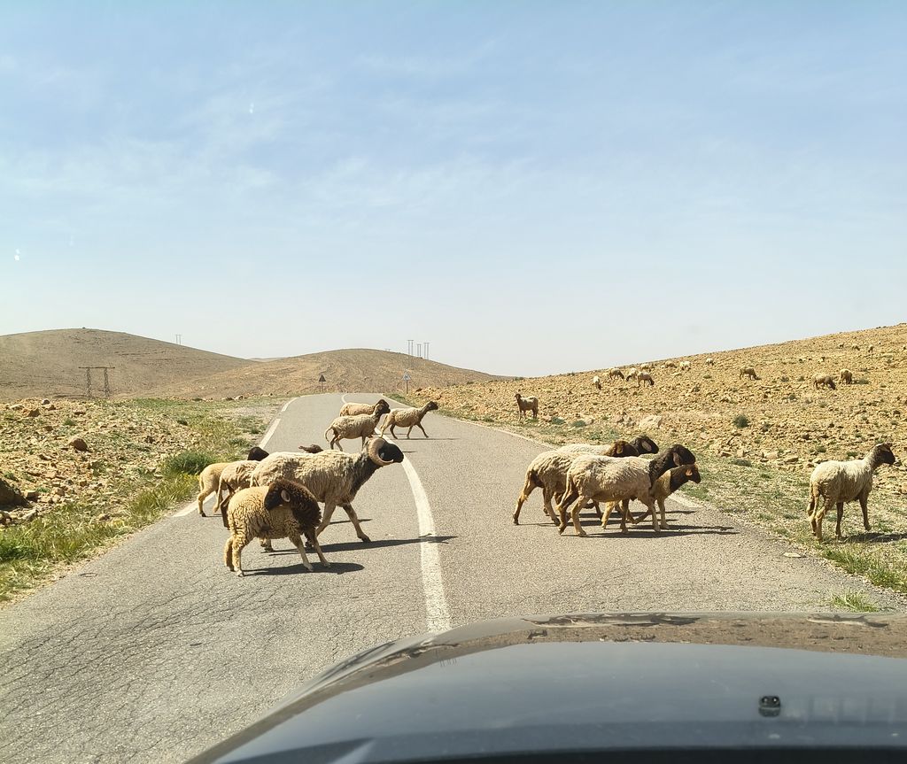 Foto 17 – 15.04.2026 – 332 km – Taroudannt - Igherm - Ait Mansour - Tafraoute  - Tiznit