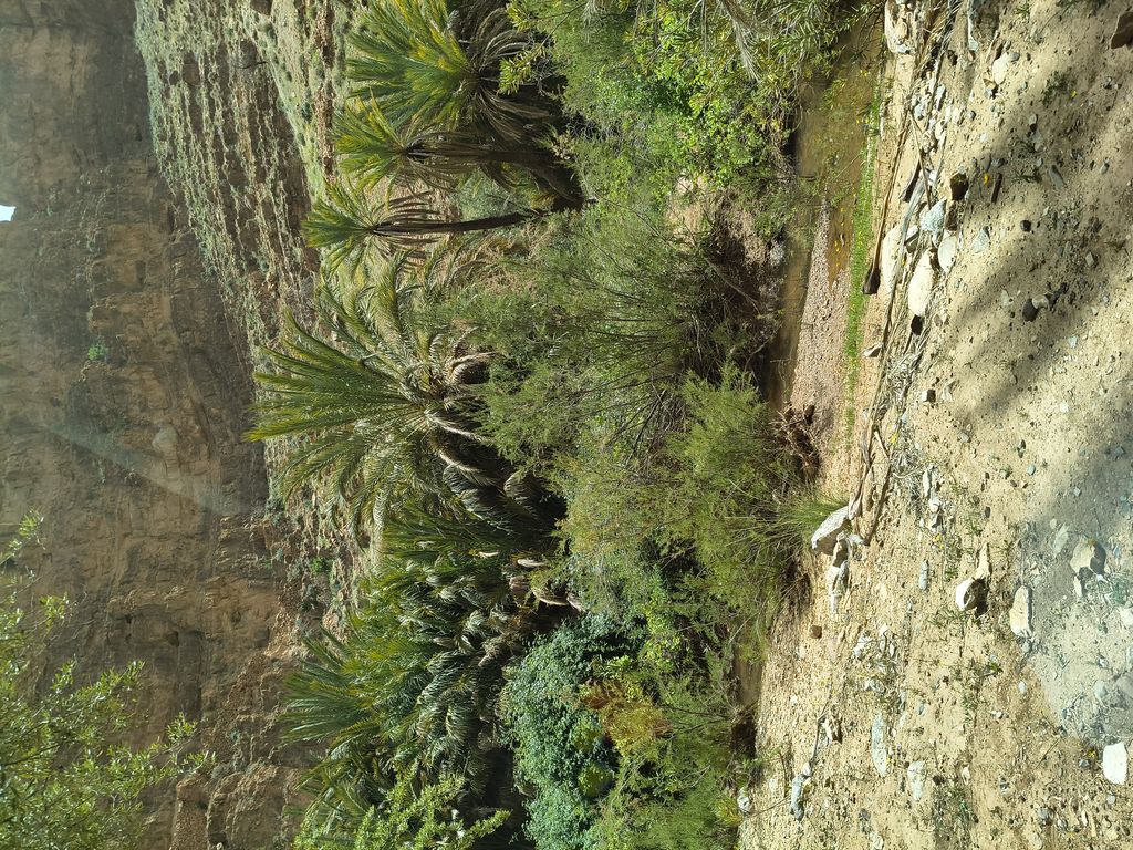Foto 30 – 15.04.2026 – 332 km – Taroudannt - Igherm - Ait Mansour - Tafraoute  - Tiznit