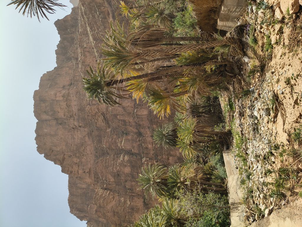 Foto 31 – 15.04.2026 – 332 km – Taroudannt - Igherm - Ait Mansour - Tafraoute  - Tiznit