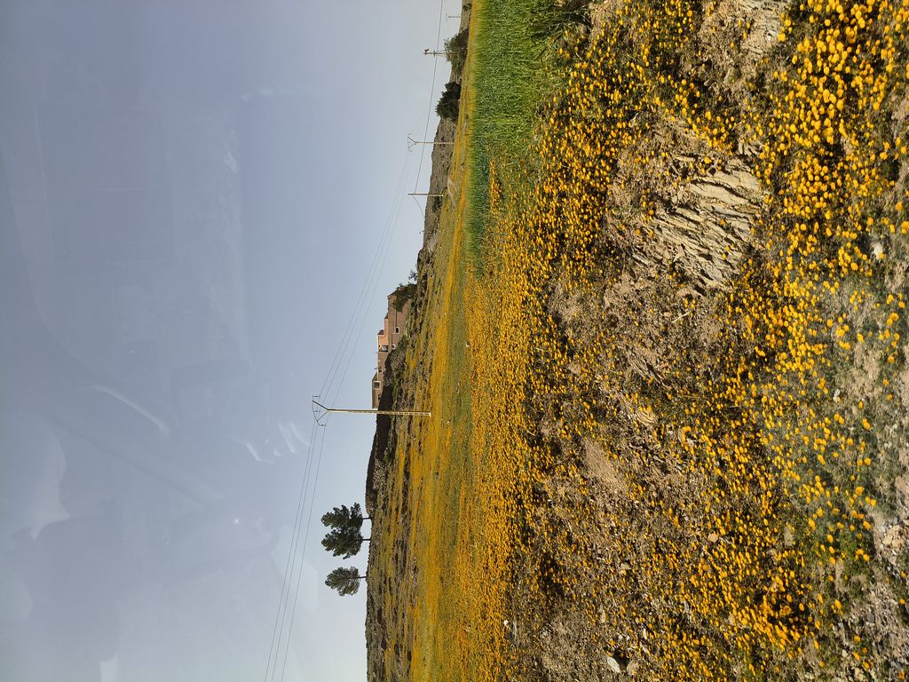 Foto 38 – 15.04.2026 – 332 km – Taroudannt - Igherm - Ait Mansour - Tafraoute  - Tiznit