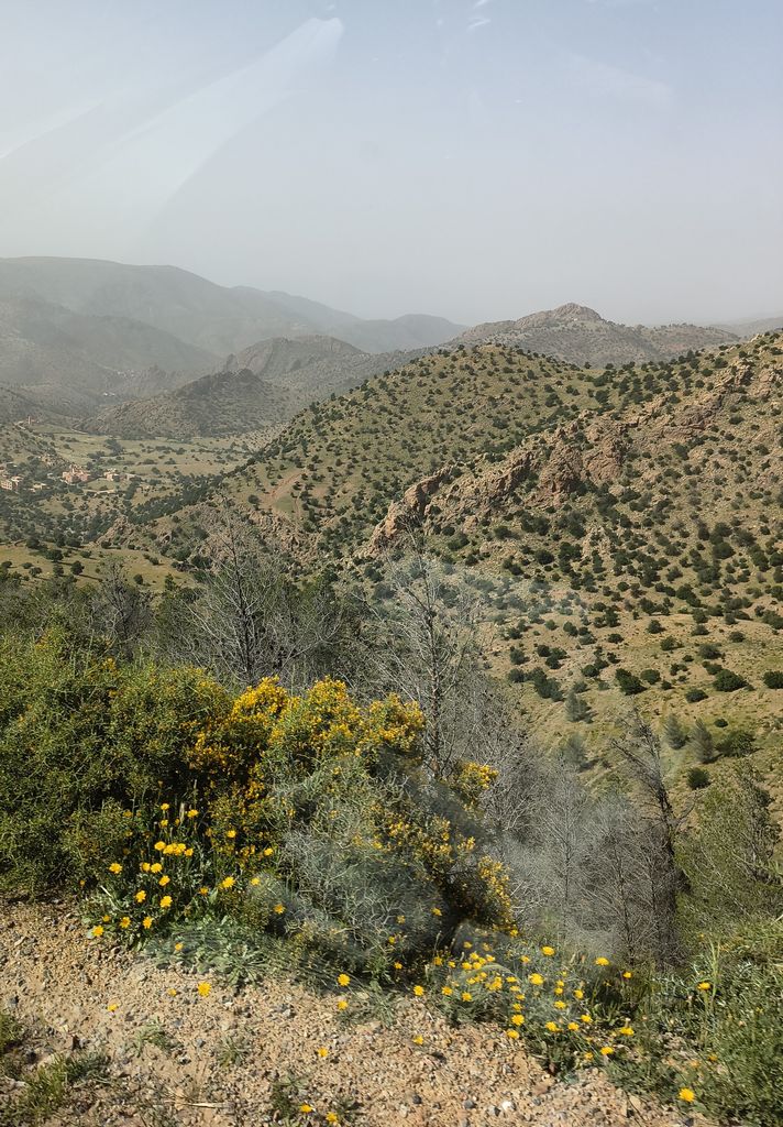 Foto 39 – 15.04.2026 – 332 km – Taroudannt - Igherm - Ait Mansour - Tafraoute  - Tiznit