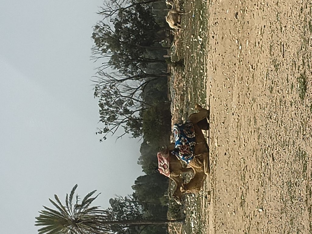 Foto 4 – 17.04.2026 – 176 km – Agadir - Essaouira