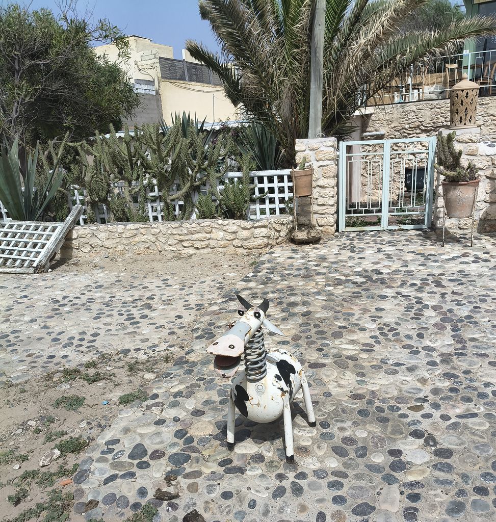 Foto 34 – 17.04.2026 – 176 km – Agadir - Essaouira