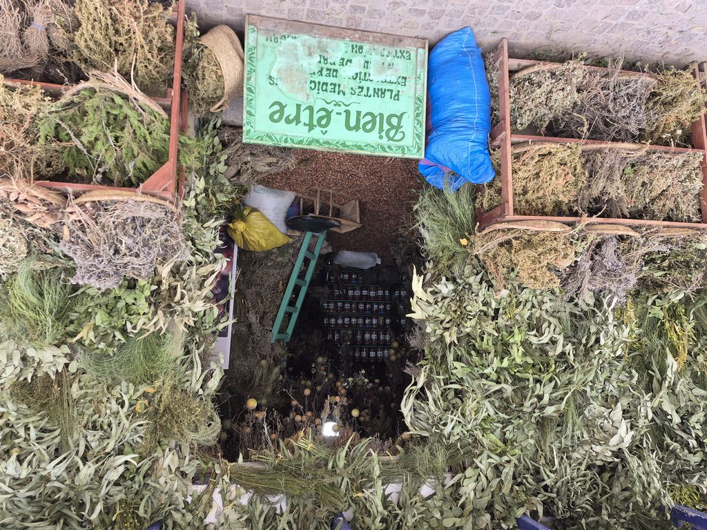 Foto 2 – 18.04.2026 – 0 km – Essaouira