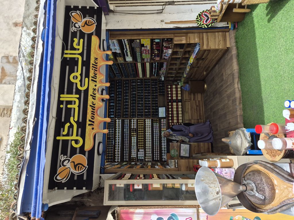 Foto 9 – 18.04.2026 – 0 km – Essaouira