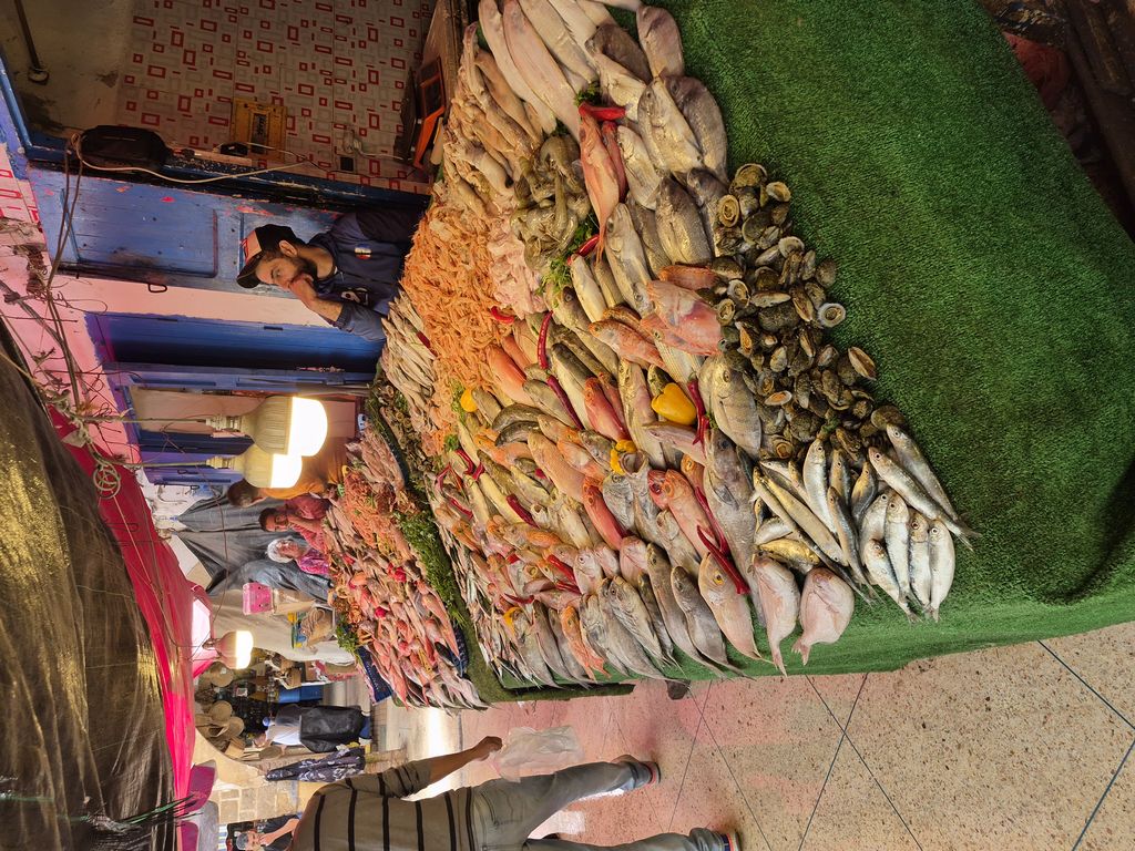 Foto 13 – 18.04.2026 – 0 km – Essaouira