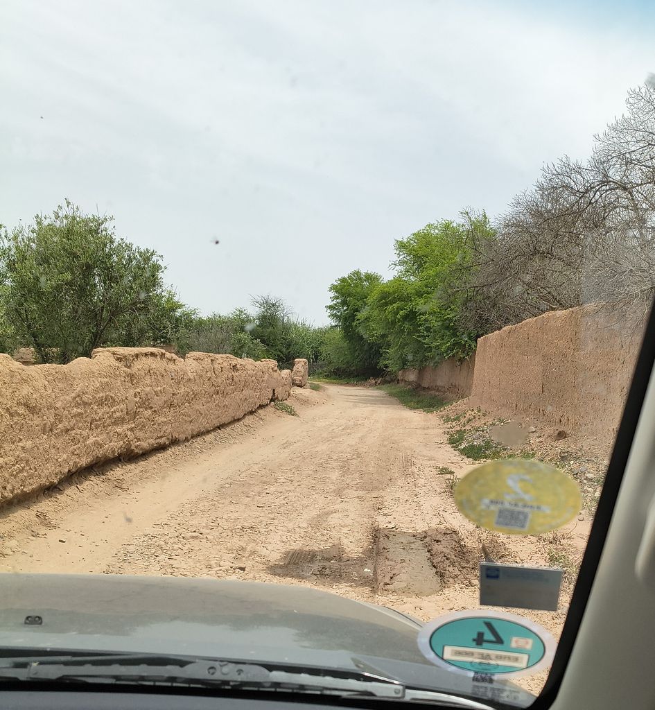 Foto 12 – 19.04.2026 – 177 km – Essaouira - Marrakesch