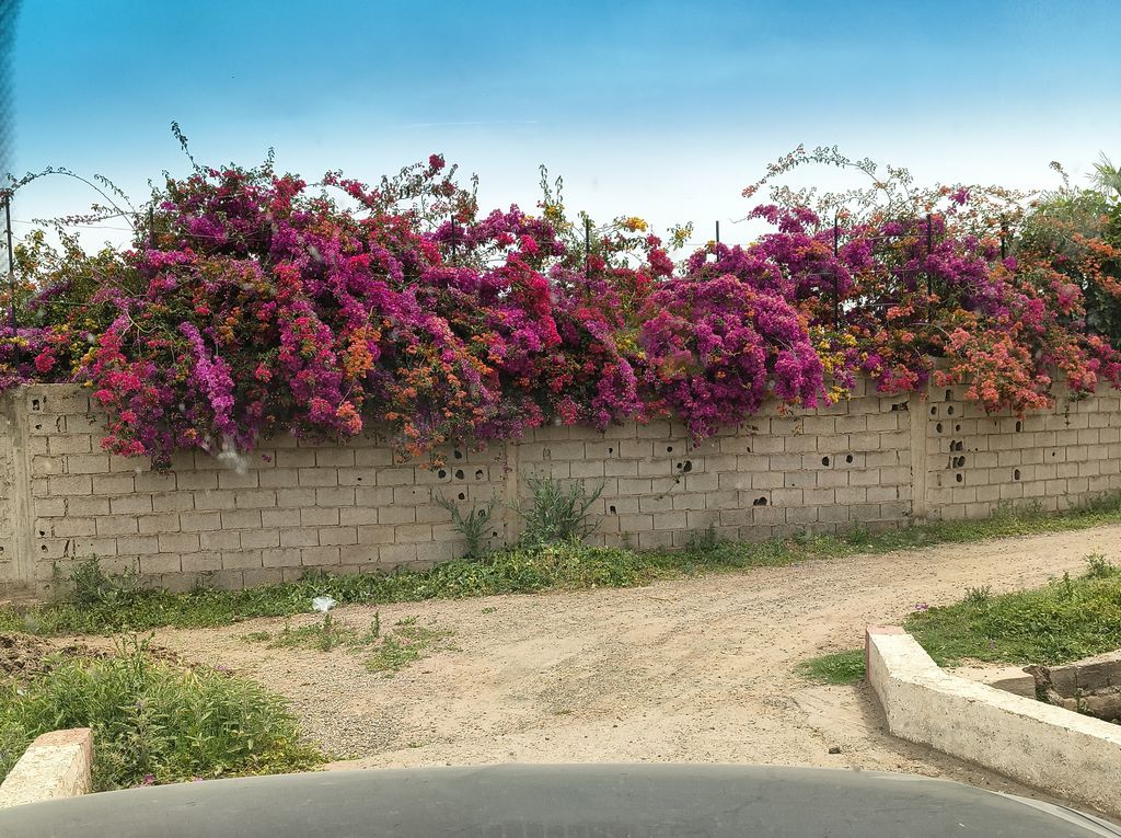 Foto 13 – 19.04.2026 – 177 km – Essaouira - Marrakesch