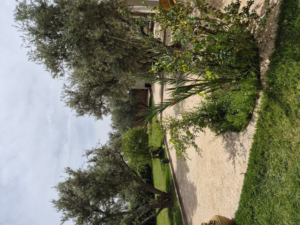 Foto 15 – 19.04.2026 – 177 km – Essaouira - Marrakesch