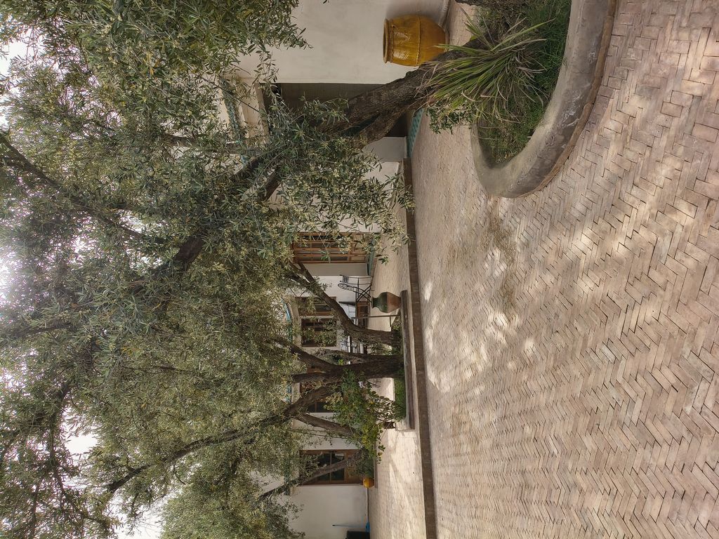 Foto 22 – 19.04.2026 – 177 km – Essaouira - Marrakesch
