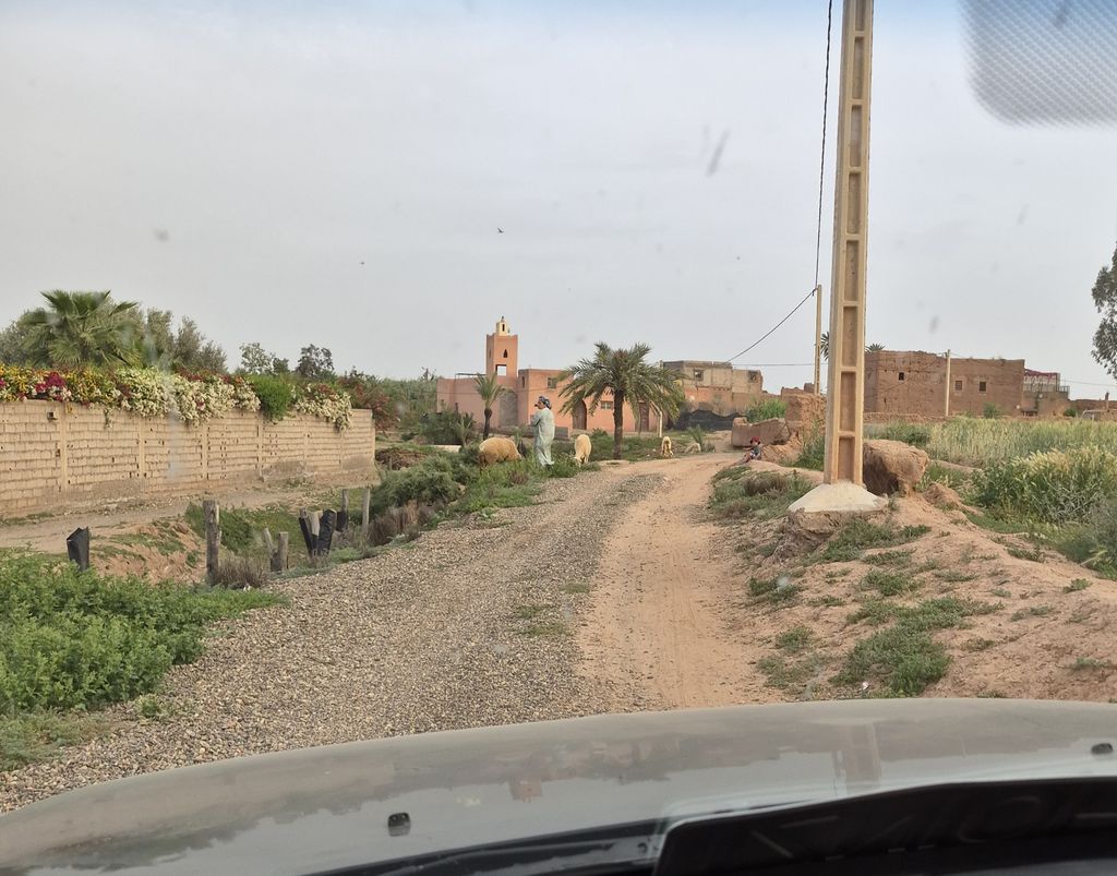 Foto 31 – 19.04.2026 – 177 km – Essaouira - Marrakesch