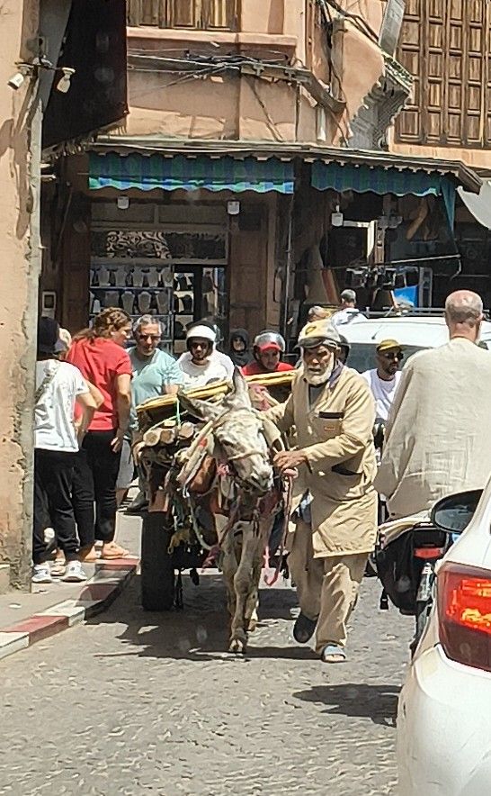 Foto 13 – 20.04.2026 – 0 km – Marrakesch