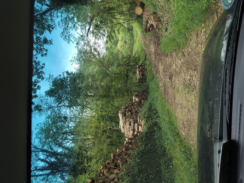 Foto 6 – 28.04.2026 – 456 km –  Genas - Saint-Croix-aux-Mines