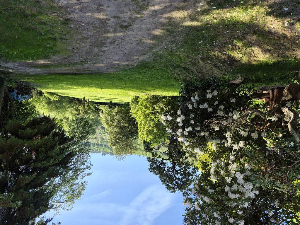Foto 10 – 29.04.2026 – 257 km –  Saint-Croix-aux-Mines - Brensbach