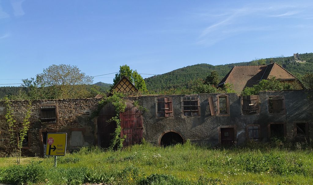 Foto 15 – 29.04.2026 – 257 km –  Saint-Croix-aux-Mines - Brensbach